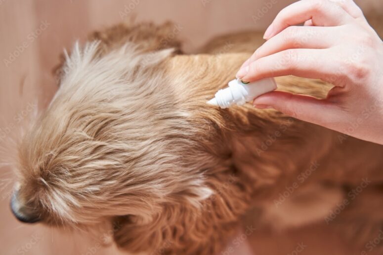 Bestrijdingsmiddelen tegen vlooien, wormen en andere parasieten.