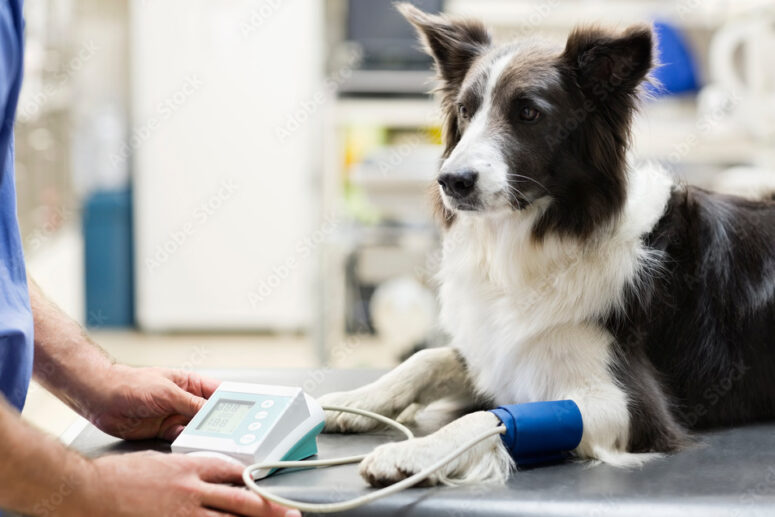 Bloedanalyse-apparatuur