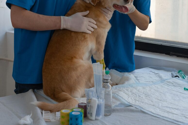 Consult uitgebreid <br> (max 30min)