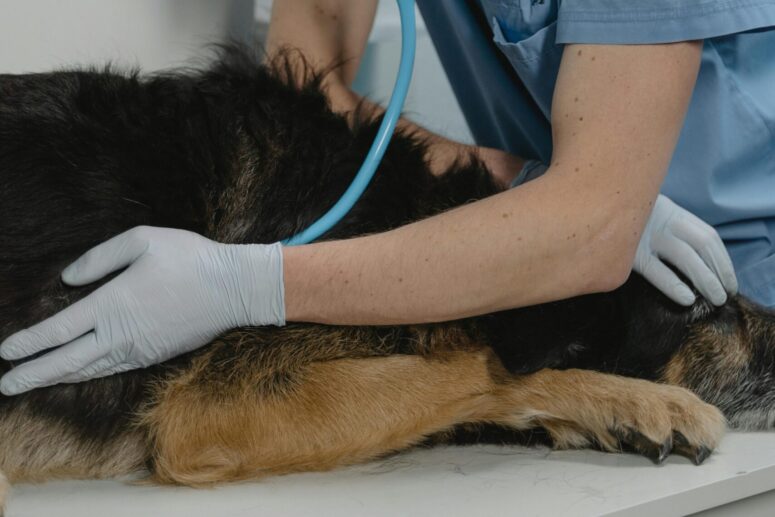 Consult <br>(max. 15min)