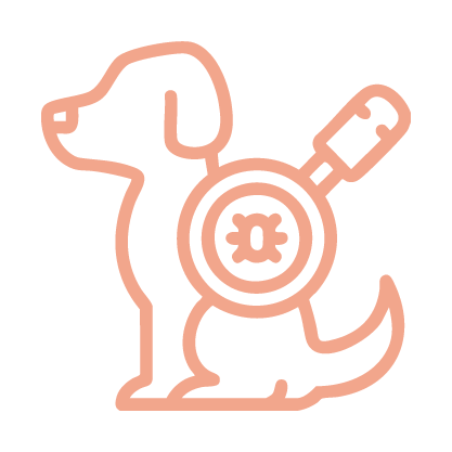 Vlooien- en tekenbehandeling voor 12 maanden