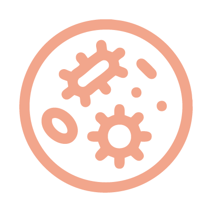 Wormbehandeling voor 12 maanden