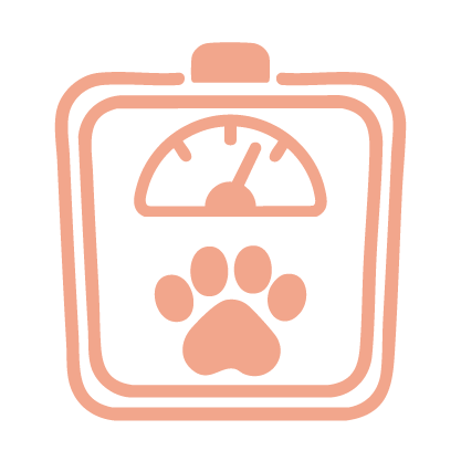 Gratis gewichtsbegeleiding